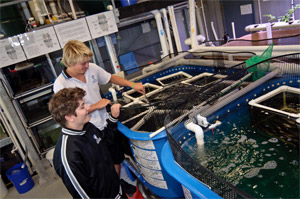 Commercial Fish Hatchery