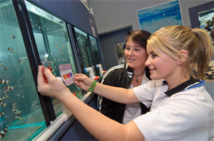 Aquariums